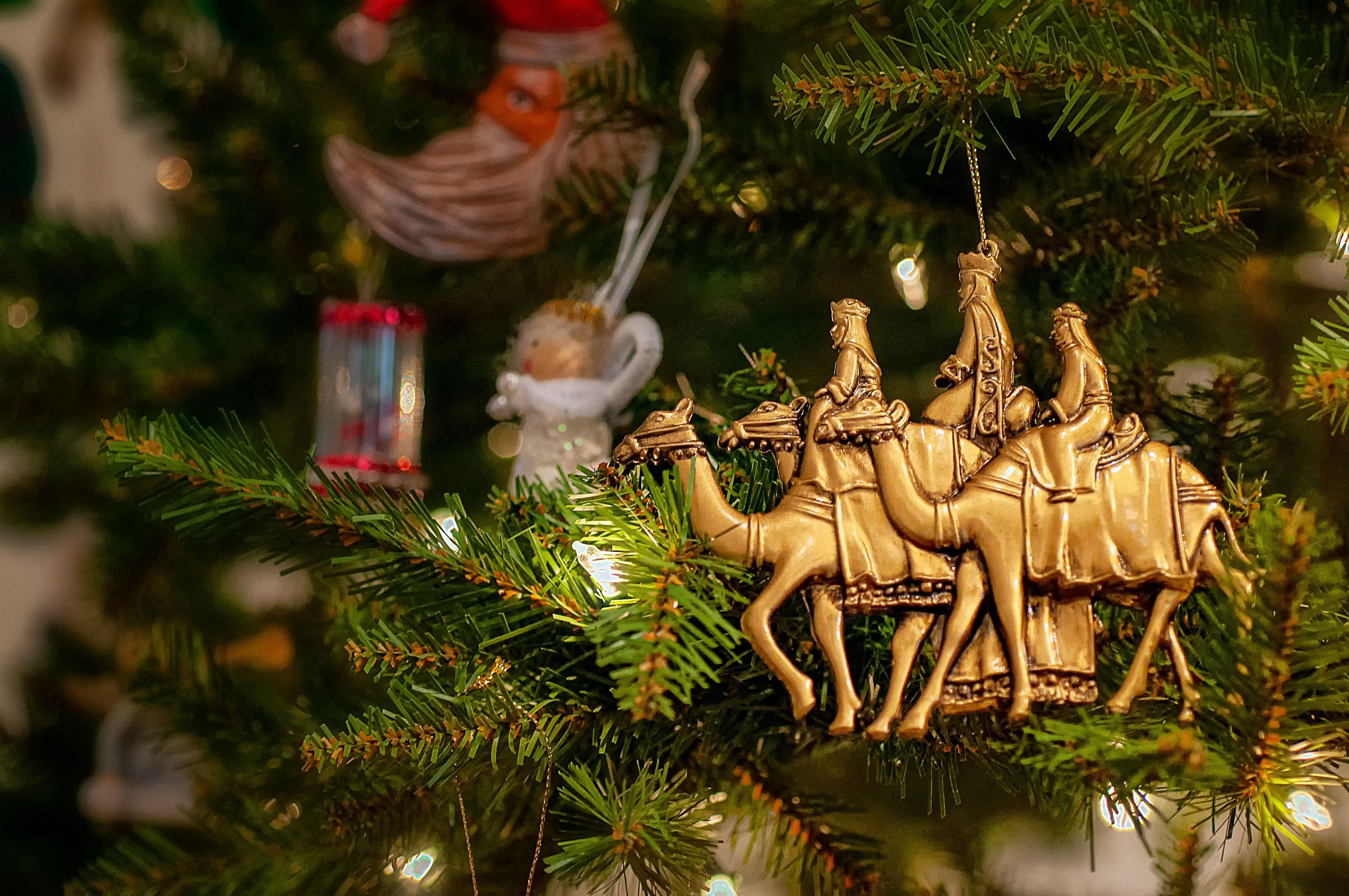 Gold nativity scene ornament of three wise men on camels hanging on Christmas tree branch